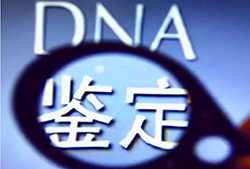 福州隐私DNA亲子鉴定哪里可以办理，福州个人亲子鉴定准确吗